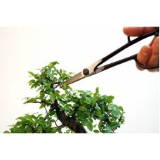 Ножницы Bonsai Okatsune KST206 (KST206)