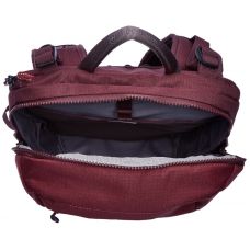 Рюкзак Victorinox Travel ALTMONT Active/Burgundy (Vt602140)