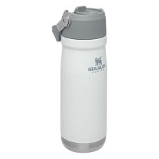 Термобутылка STANLEY GO ICEFLOW FLIP STRAW 0.65Л POLAR (6939236382731)