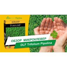 Микроклевер Пиполина / Pipolina DLF Trifolium 0,45 кг *12 шт